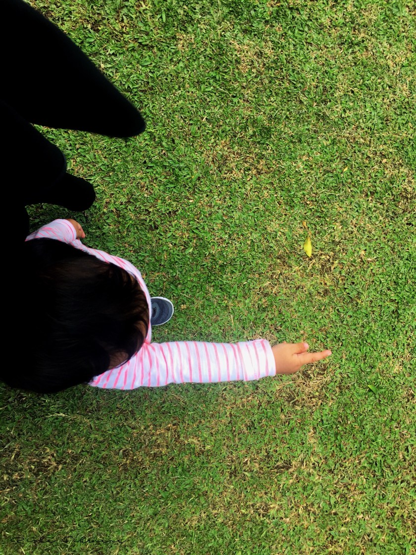 Cinta menunjuk-nunjuk patung beruang madu dan air mancur 